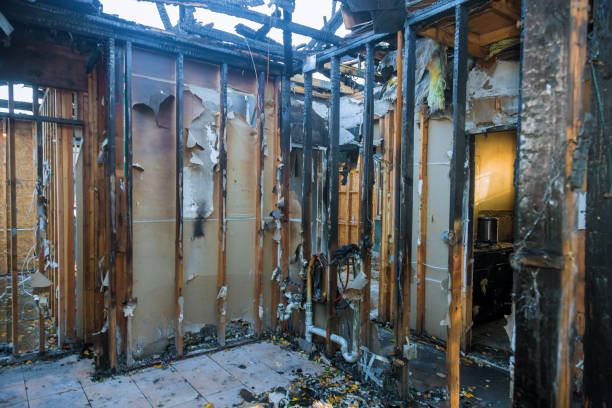 Professional Odor Removal technician working in Buffalo, TX