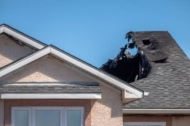 Top rated local Odor Removal specialists in Buffalo, TX